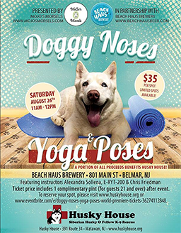 Flyer for Doggy Noses and Yoga Poses event