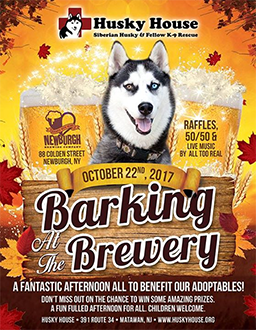 Flyer for Barking at the Brewery event