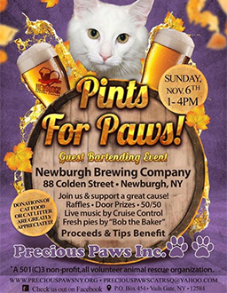 Flyer for Pints for Paws event