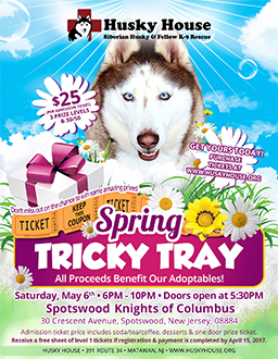 Flyer for a Spring Tricky Tray
